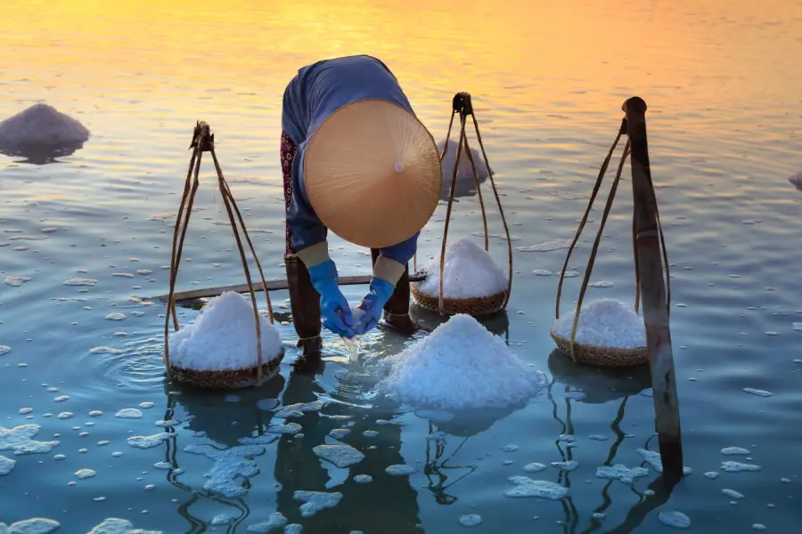 Zout delving in het water